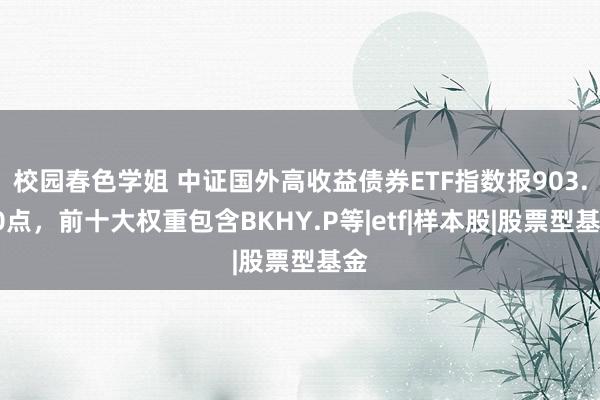 校园春色学姐 中证国外高收益债券ETF指数报903.40点，前十大权重包含BKHY.P等|etf|样本股|股票型基金